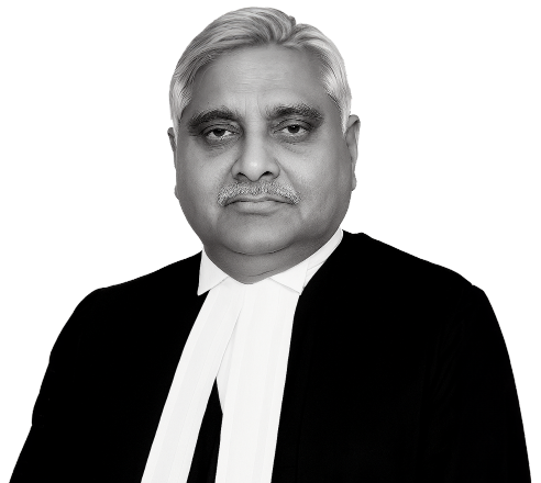 Justice (Retd) Gopala Gowda